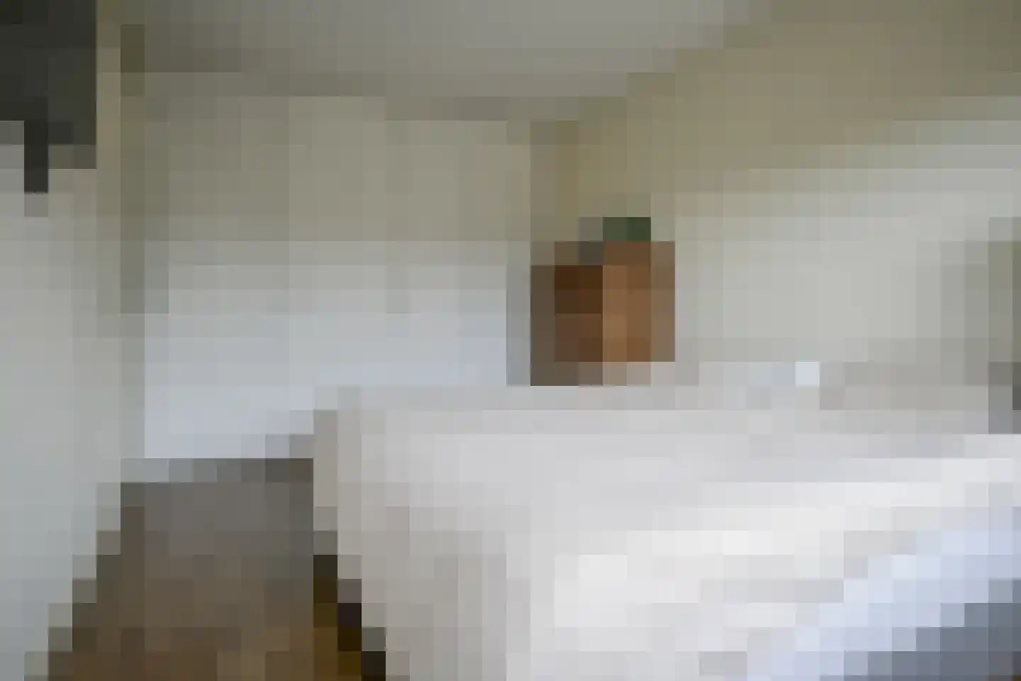 Vermeerstraat 4 Bleiswijk thumbnail 38