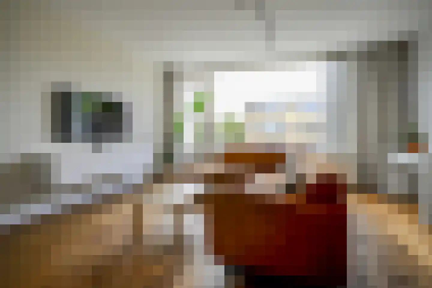 Vermeerstraat 4 Bleiswijk thumbnail 4
