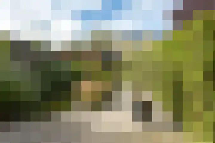 Vermeerstraat 4 Bleiswijk thumbnail 4