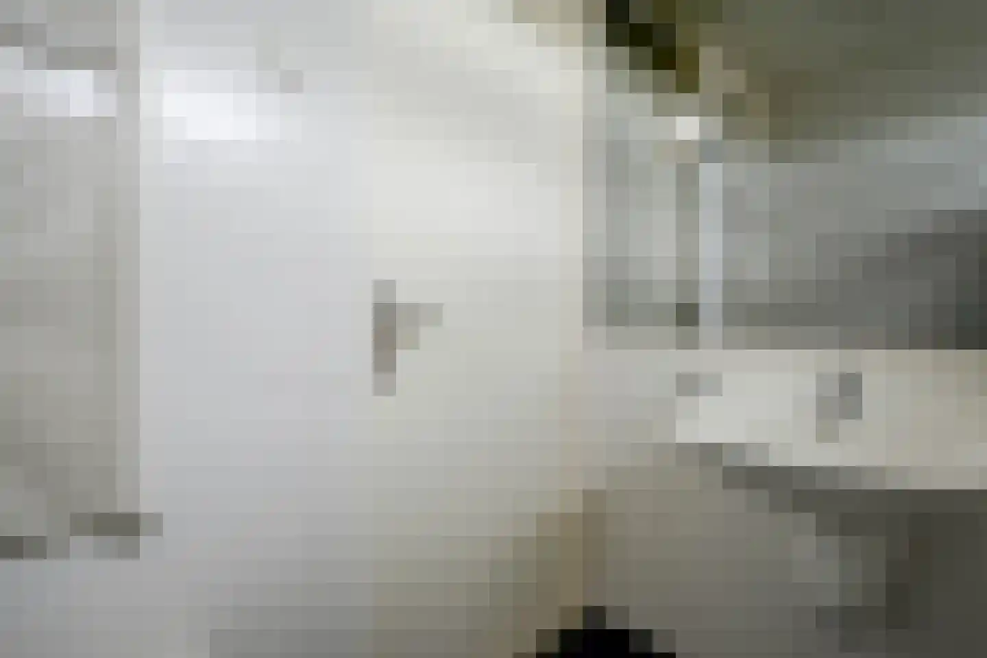 Vermeerstraat 4 Bleiswijk thumbnail 40