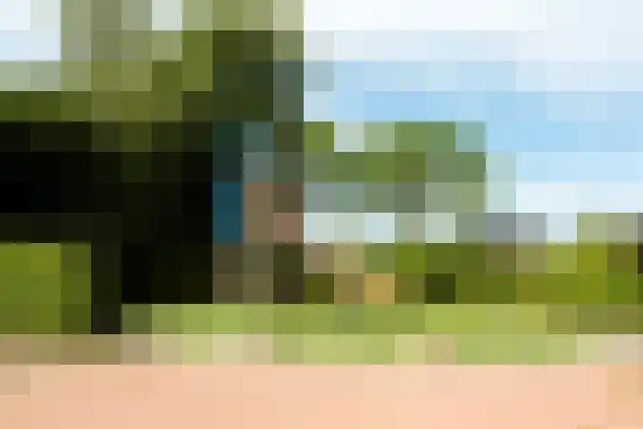 Vermeerstraat 4 Bleiswijk thumbnail 40