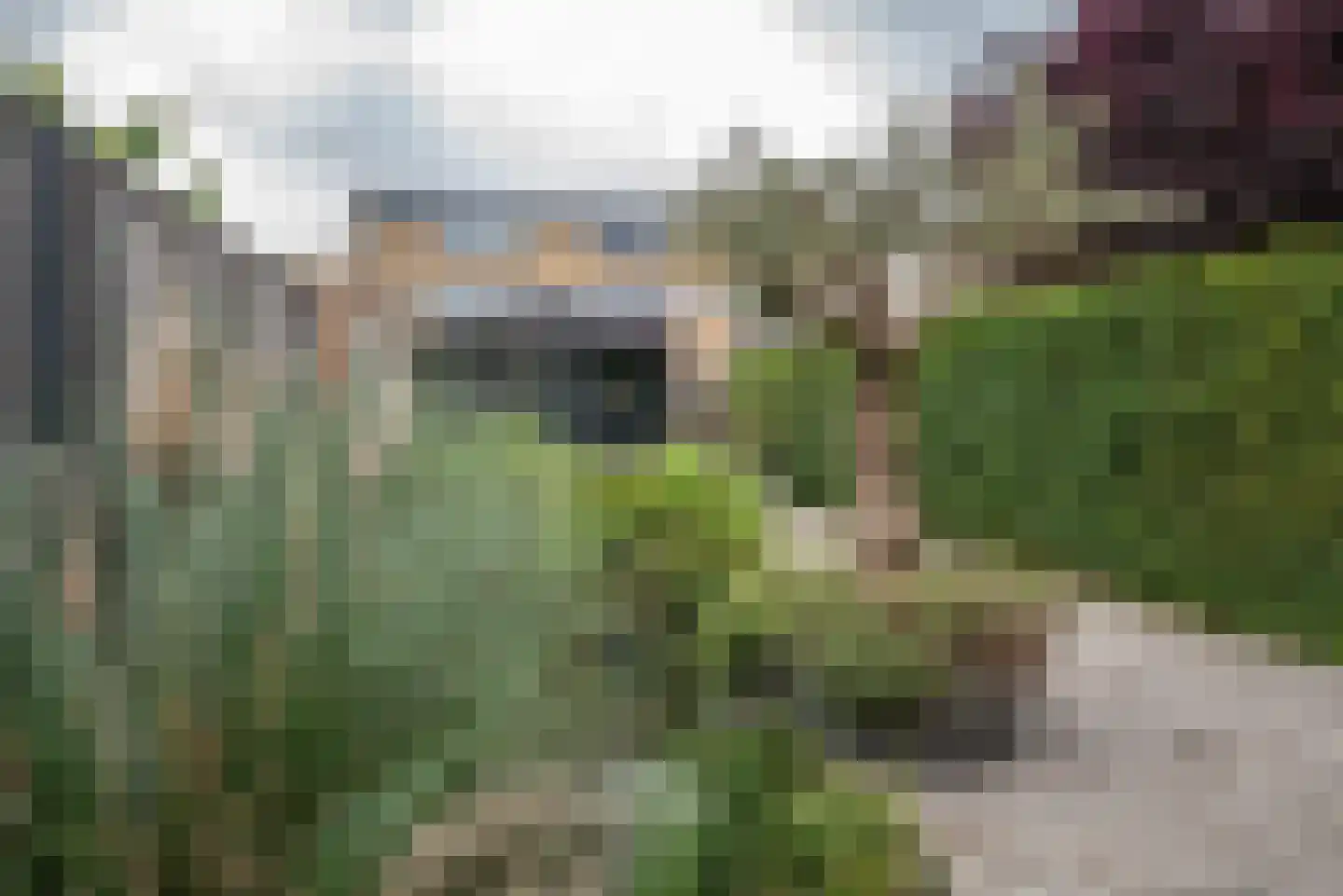 Vermeerstraat 4 Bleiswijk thumbnail 41