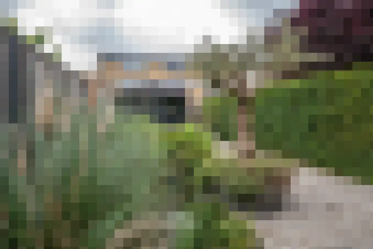 Vermeerstraat 4 Bleiswijk thumbnail 41