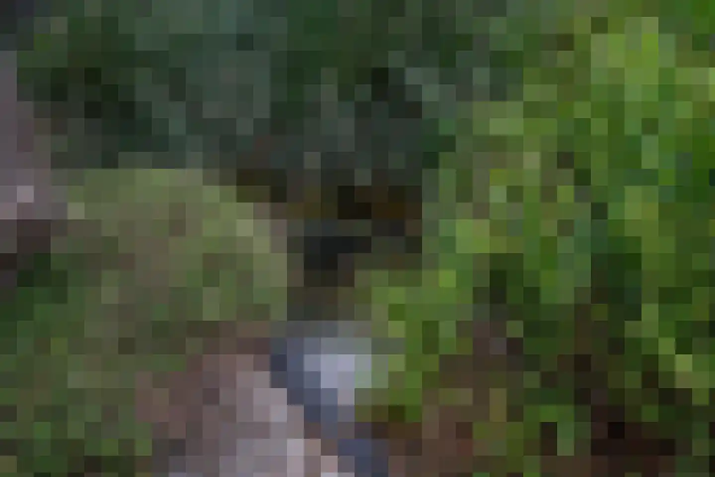 Vermeerstraat 4 Bleiswijk thumbnail 45