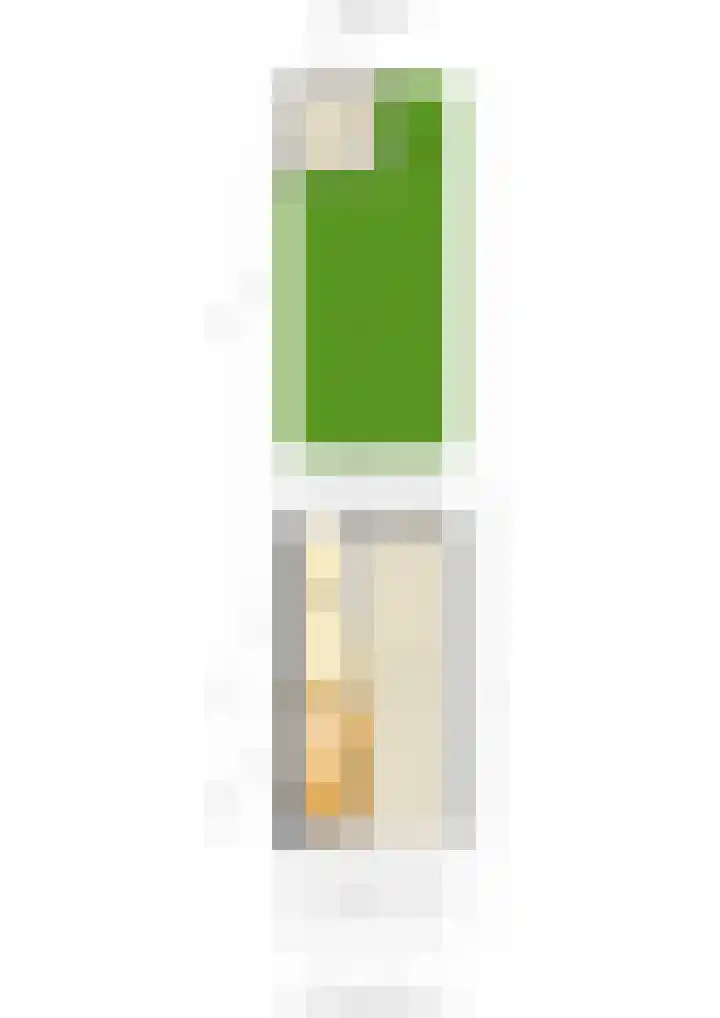 Vermeerstraat 4 Bleiswijk thumbnail 47