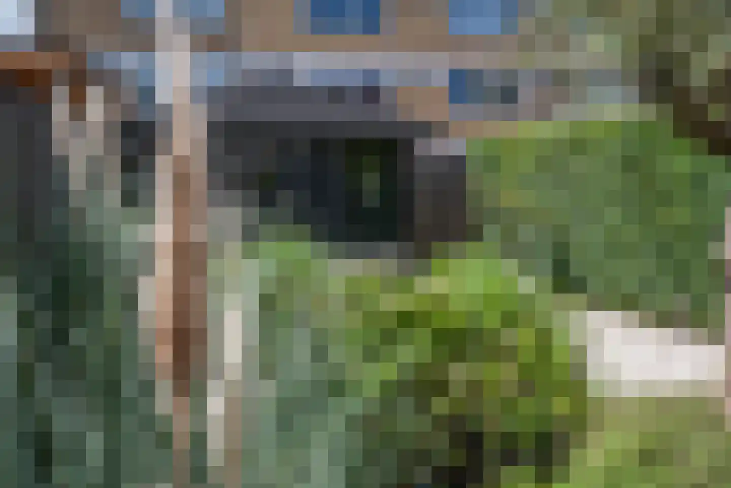 Vermeerstraat 4 Bleiswijk thumbnail 48