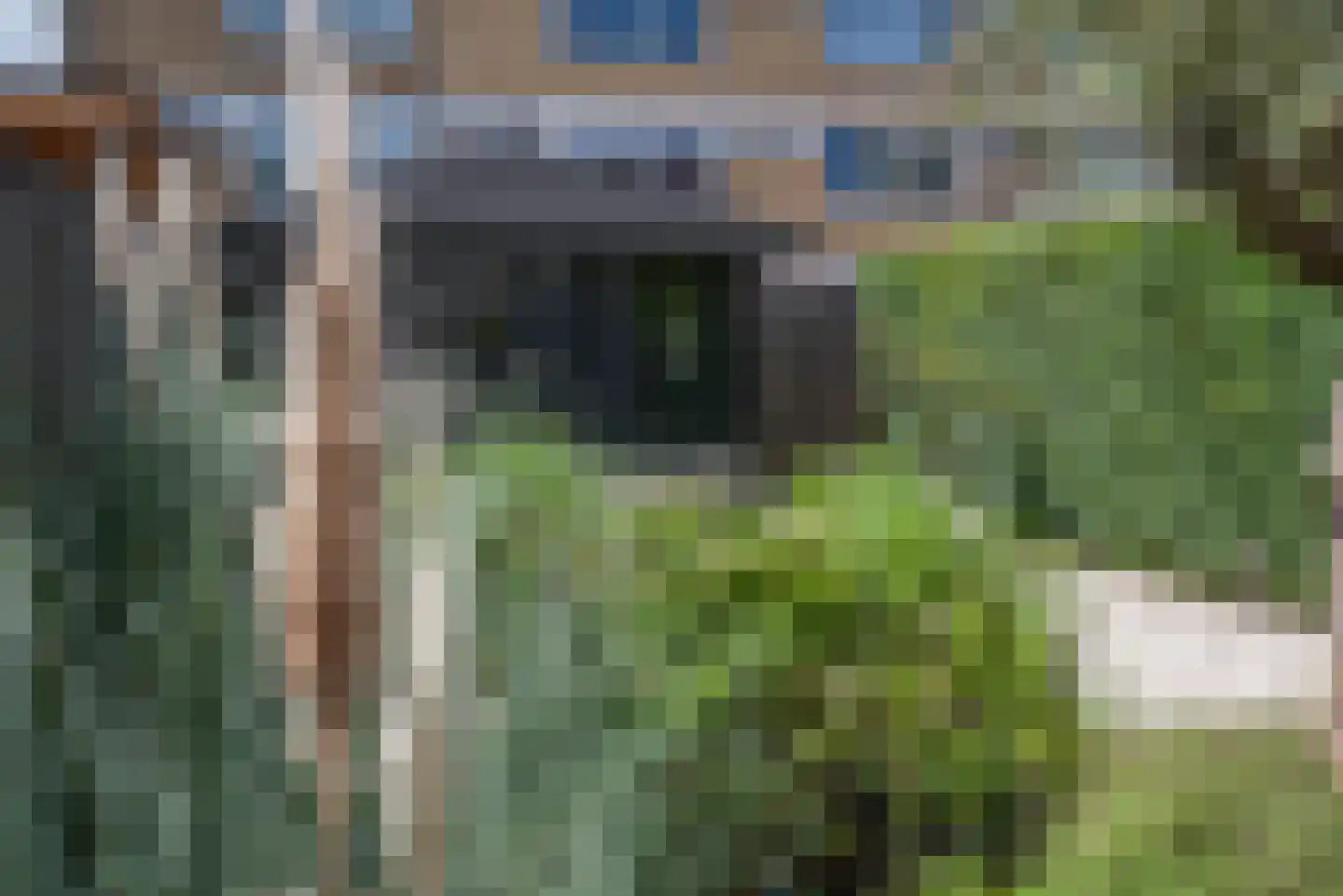 Vermeerstraat 4 Bleiswijk thumbnail 49