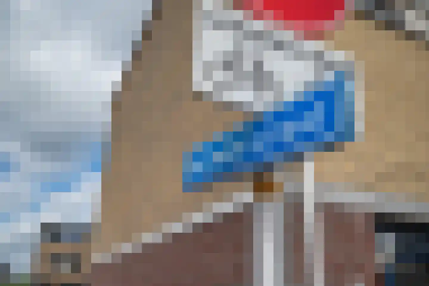 Vermeerstraat 4 Bleiswijk thumbnail 51