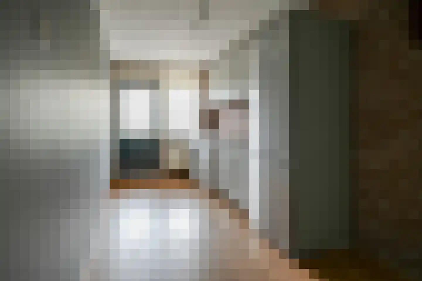Vermeerstraat 4 Bleiswijk thumbnail 6