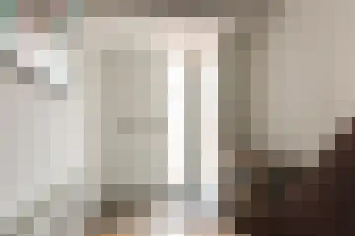 Vermeerstraat 4 Bleiswijk thumbnail 7