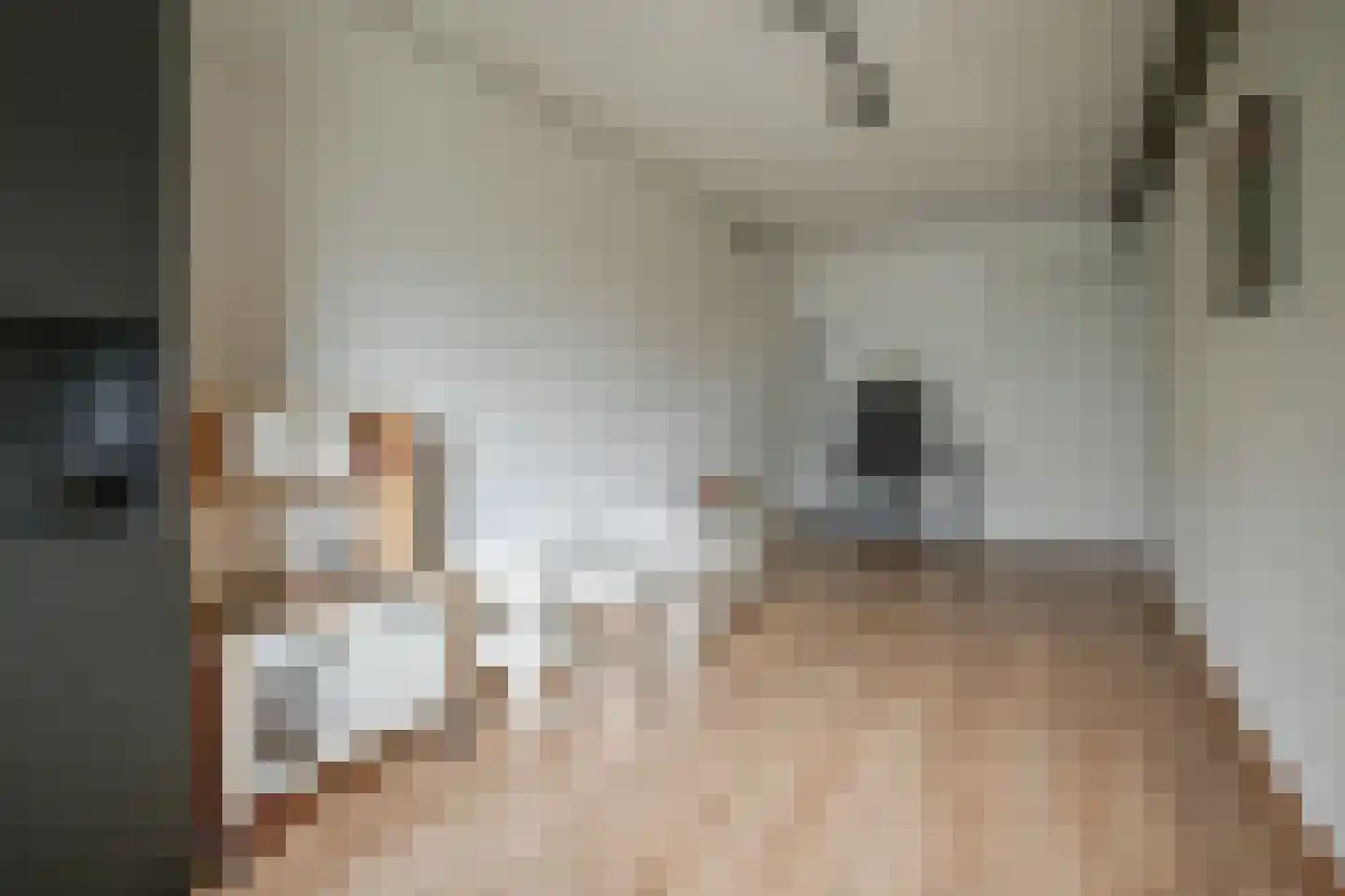 Vermeerstraat 4 Bleiswijk thumbnail 8