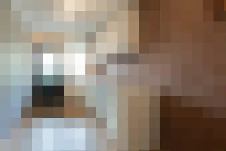 Vermeerstraat 4 Bleiswijk thumbnail 9