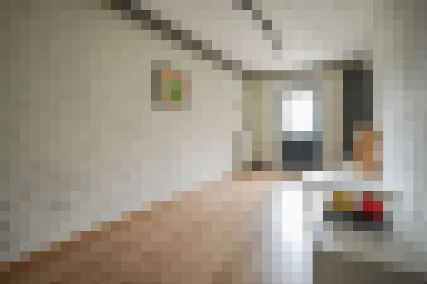 Vermeerstraat 4 Bleiswijk thumbnail 9