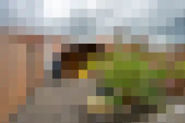 Vermeerstraat 4 Sliedrecht thumbnail 20