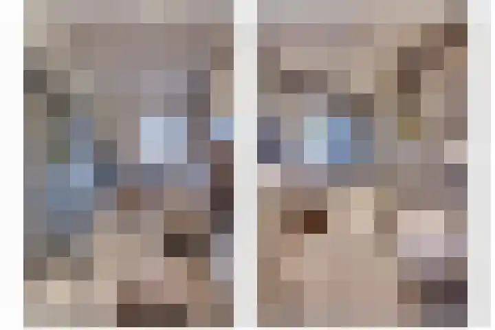 Vermeerstraat 4 Sliedrecht thumbnail 32