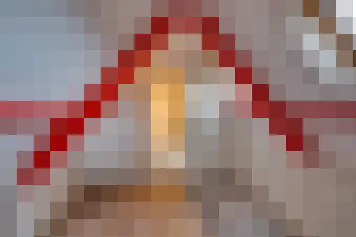 Vermeerstraat 4 Sliedrecht thumbnail 35