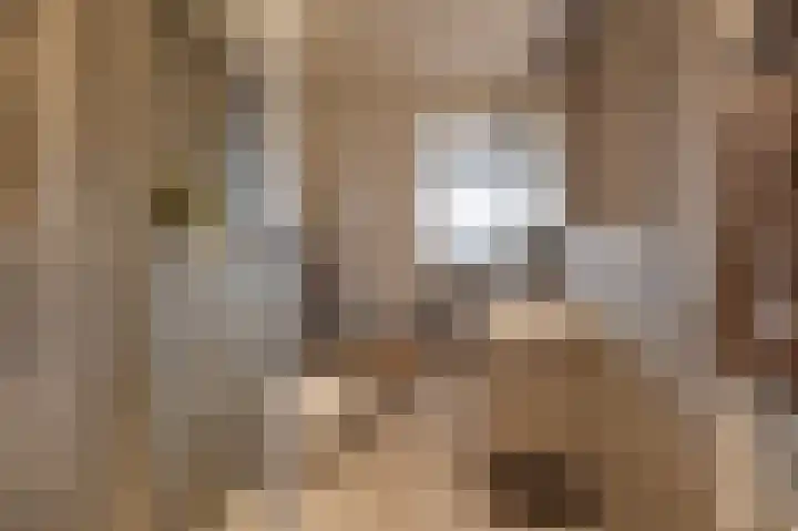 Vermeerstraat 4 Sliedrecht thumbnail 4