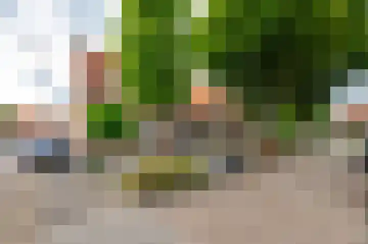 Vermeerstraat 4 Sliedrecht thumbnail 8