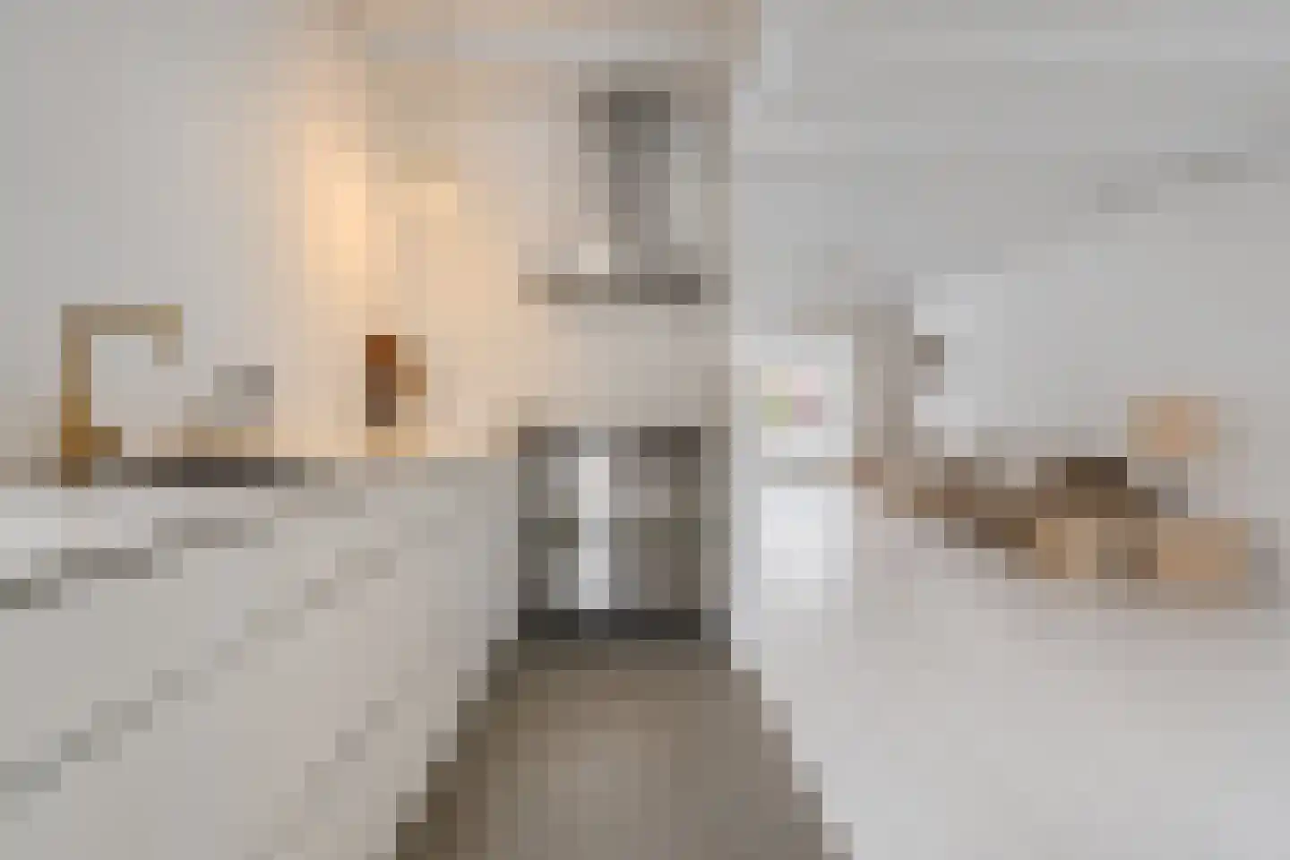 Vermeerstraat 4 Zaandam thumbnail 20