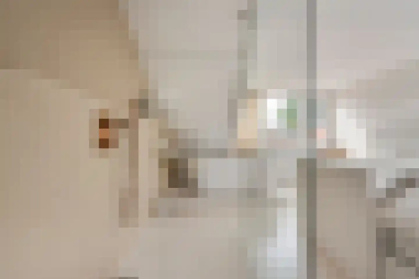 Vermeerstraat 4 Zaandam thumbnail 4
