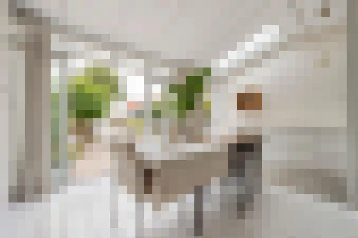 Vermeerstraat 4 Zaandam thumbnail 6