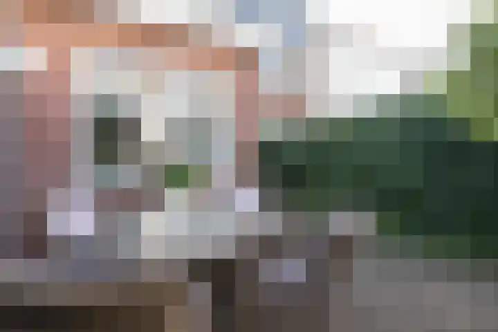 Vermeerstraat 40 Alkmaar thumbnail 20