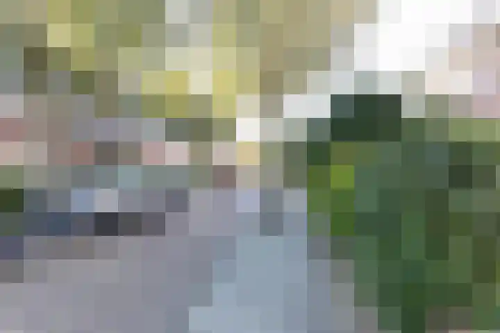 Vermeerstraat 40 Alkmaar thumbnail 43