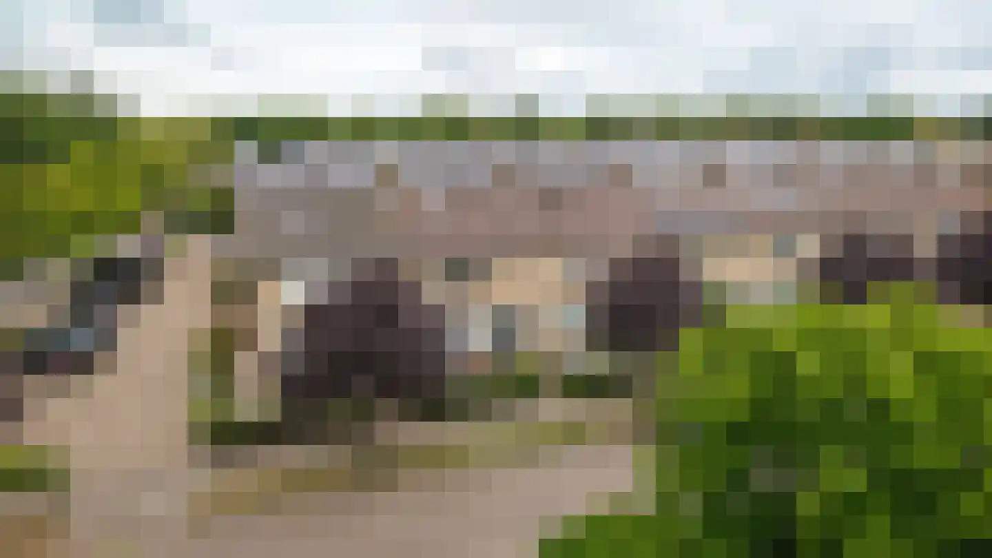 Vermeerstraat 40 Zaltbommel thumbnail 36