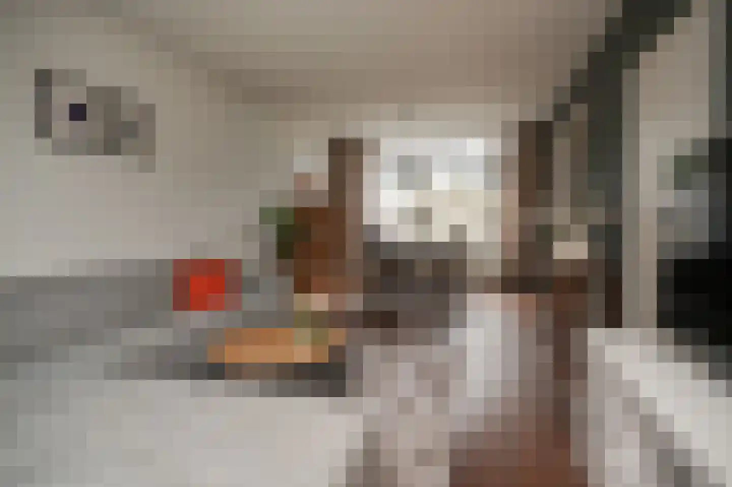 Vermeerstraat 40 Zaltbommel thumbnail 8