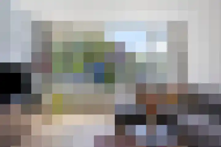 Vermeerstraat 47 Zoetermeer thumbnail 12