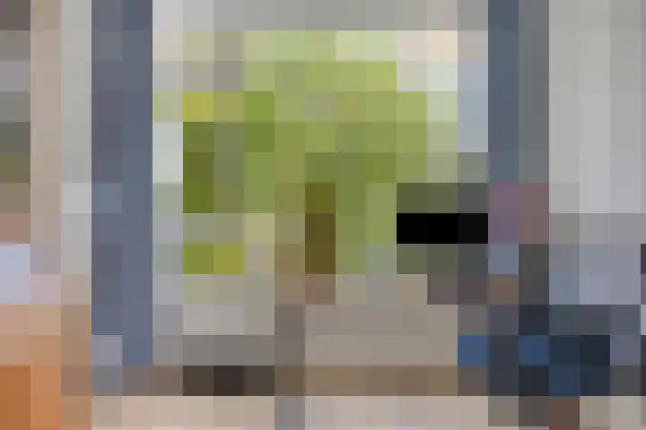 Vermeerstraat 47 Zoetermeer thumbnail 20