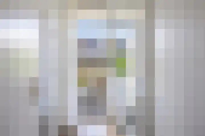 Vermeerstraat 47 Zoetermeer thumbnail 22