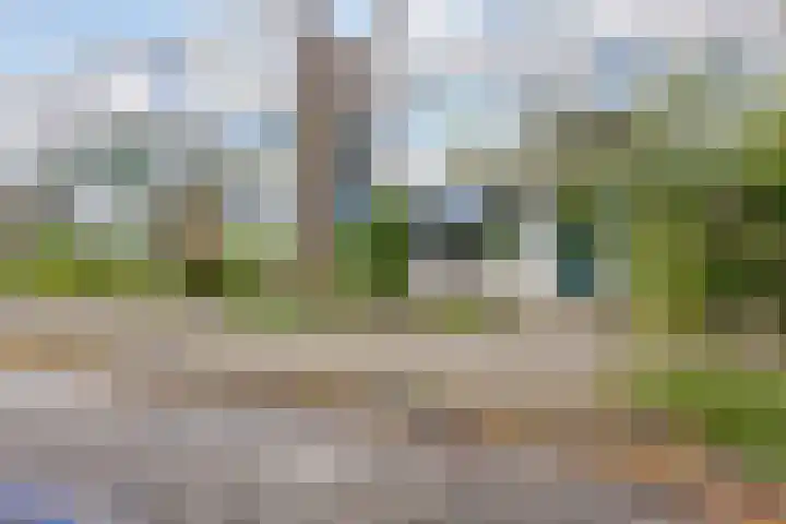 Vermeerstraat 47 Zoetermeer thumbnail 26