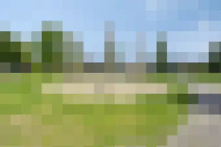 Vermeerstraat 47 Zoetermeer thumbnail 28