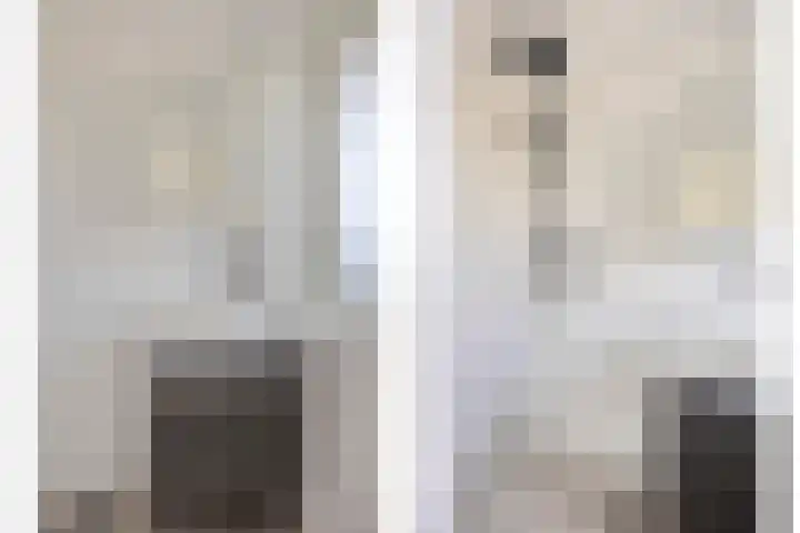 Vermeerstraat 47 Zoetermeer thumbnail 5