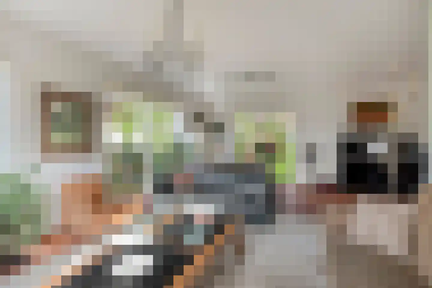 Vermeerstraat 5 Anna Paulowna thumbnail 14