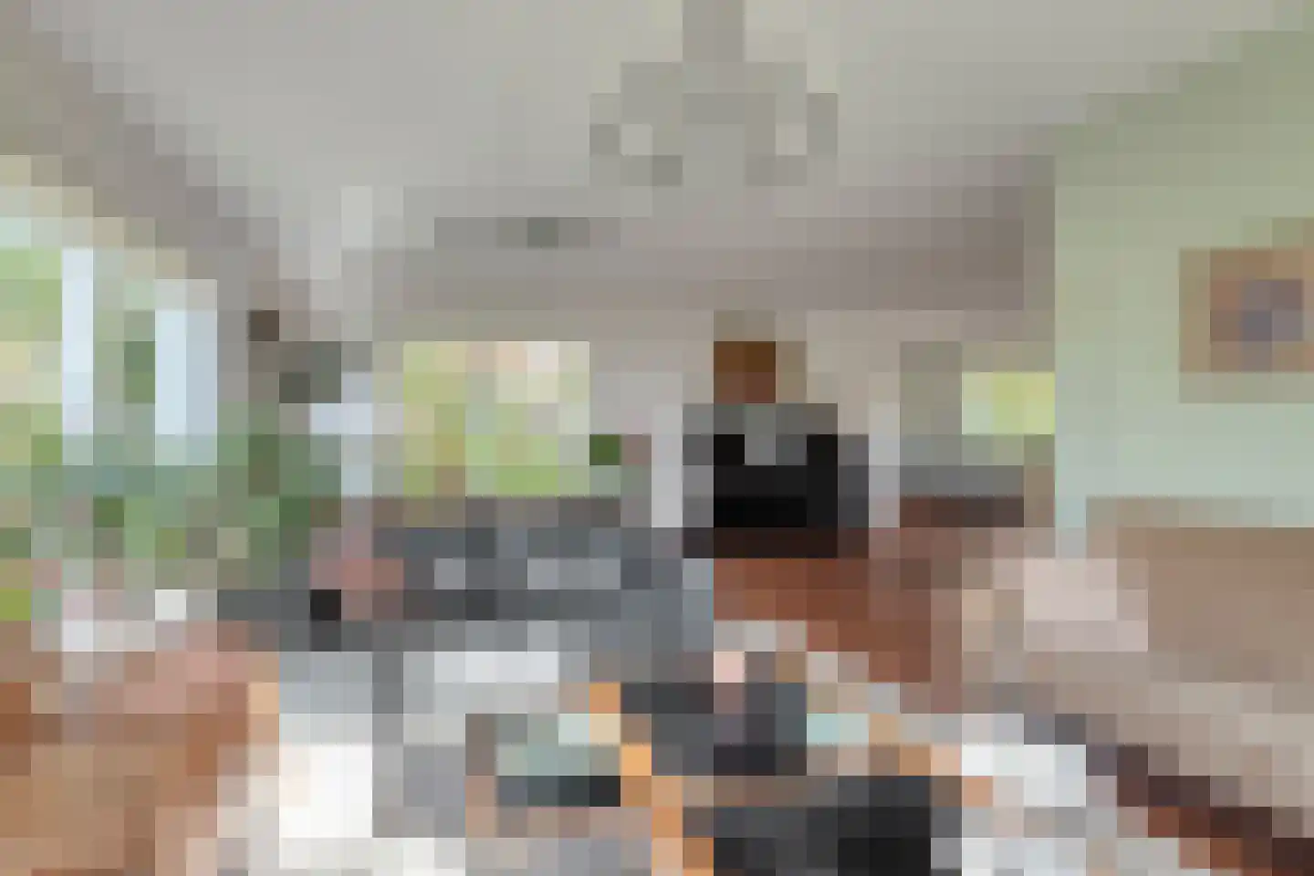 Vermeerstraat 5 Anna Paulowna thumbnail 15