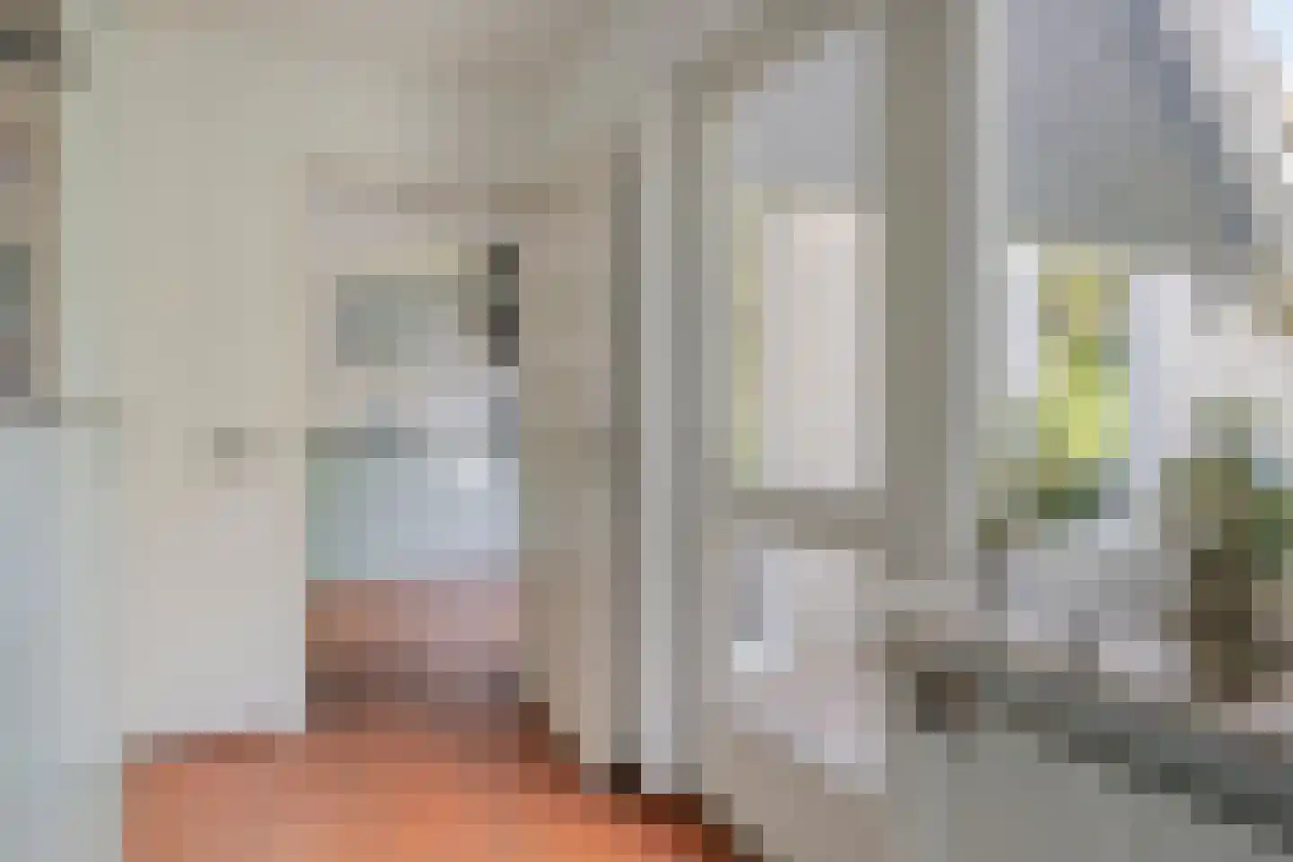 Vermeerstraat 5 Anna Paulowna thumbnail 31