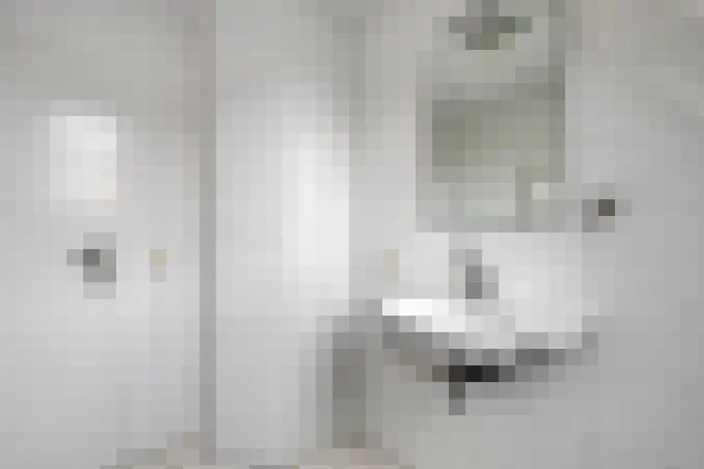 Vermeerstraat 5 Anna Paulowna thumbnail 45