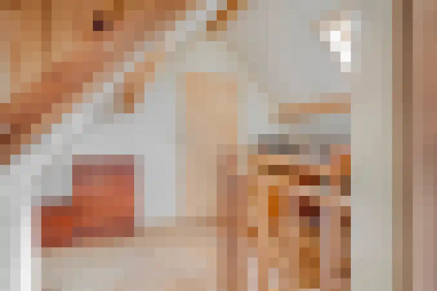 Vermeerstraat 5 Anna Paulowna thumbnail 51