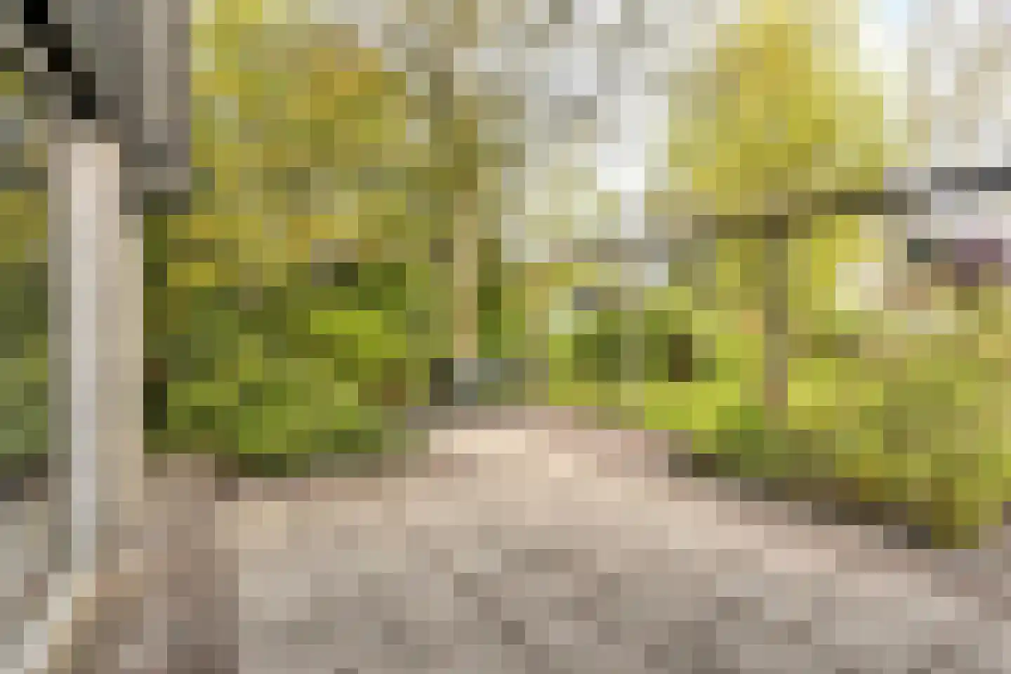 Vermeerstraat 5 Anna Paulowna thumbnail 54