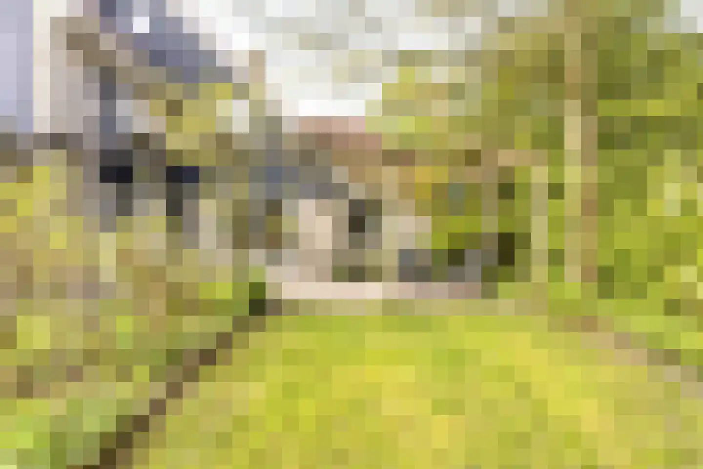Vermeerstraat 5 Anna Paulowna thumbnail 55