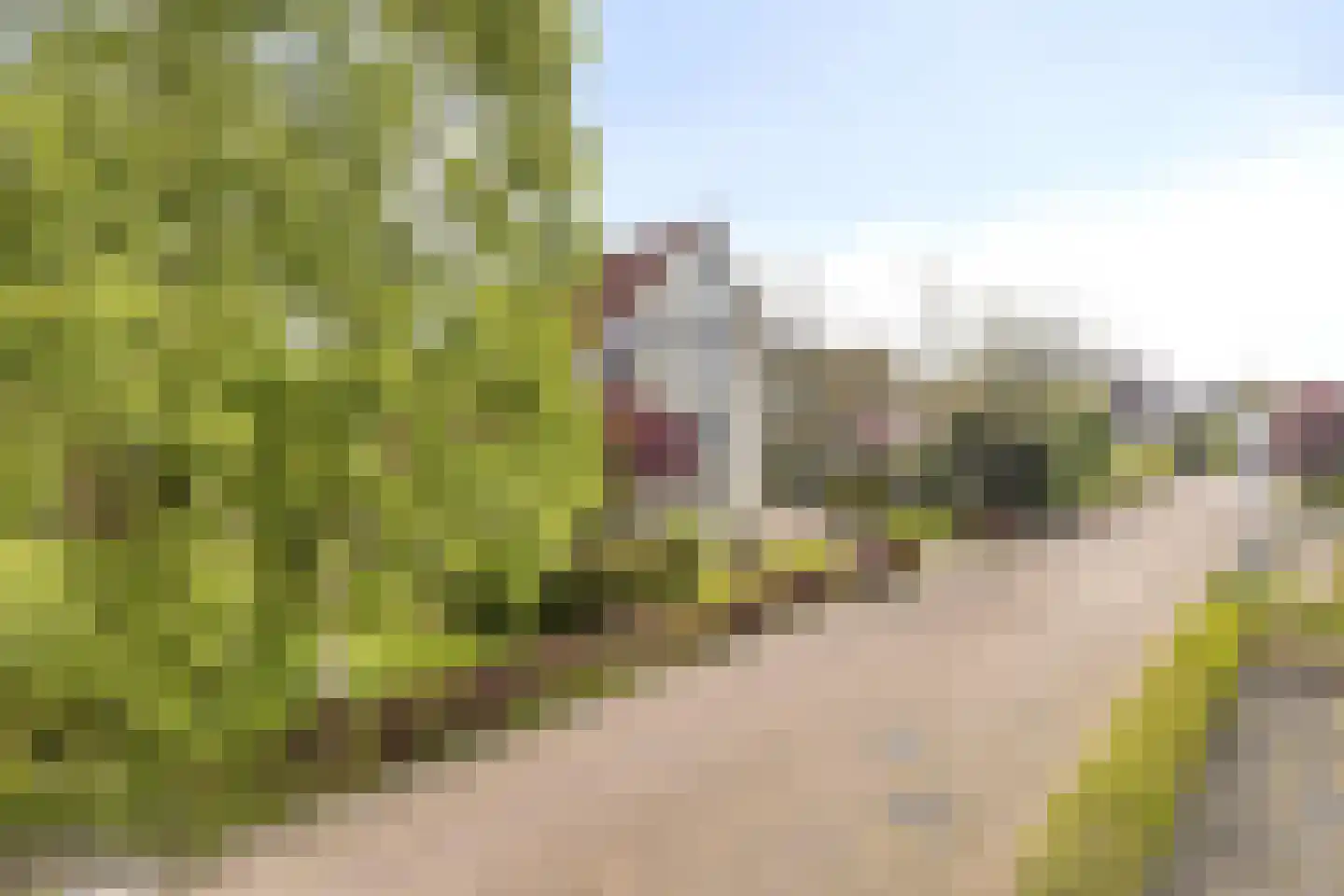 Vermeerstraat 5 Anna Paulowna thumbnail 6