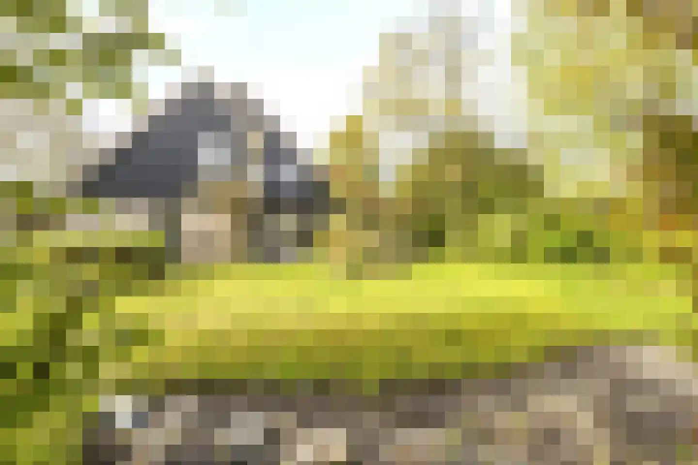 Vermeerstraat 5 Anna Paulowna thumbnail 60