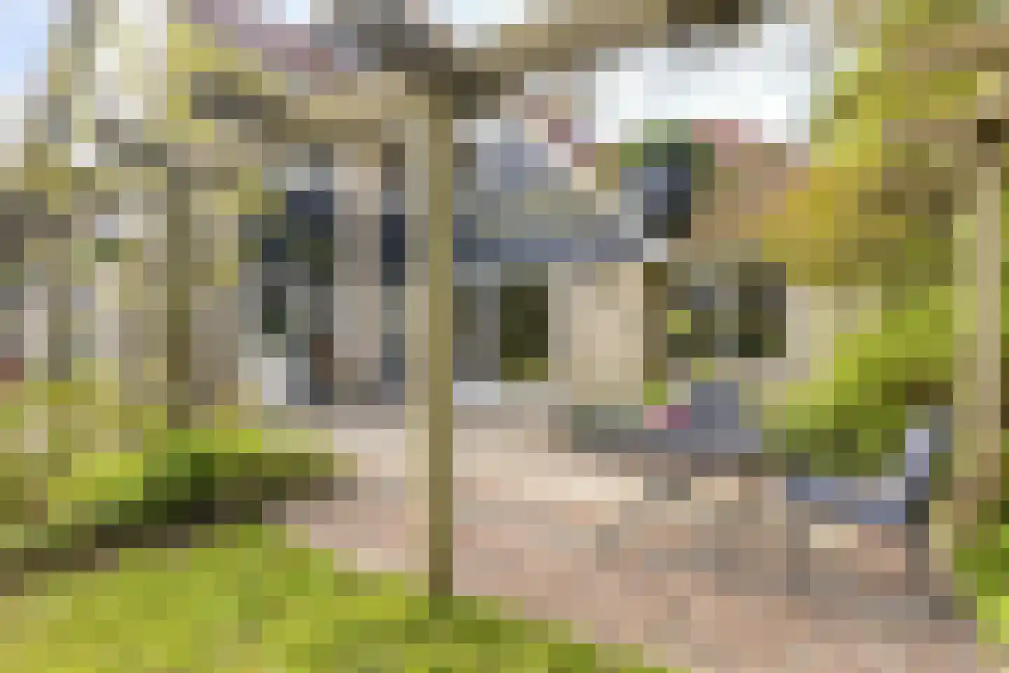 Vermeerstraat 5 Anna Paulowna thumbnail 62