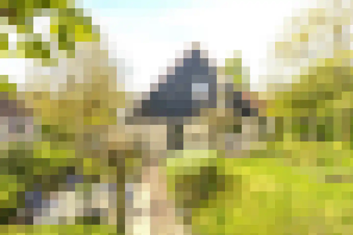 Vermeerstraat 5 Anna Paulowna thumbnail 64