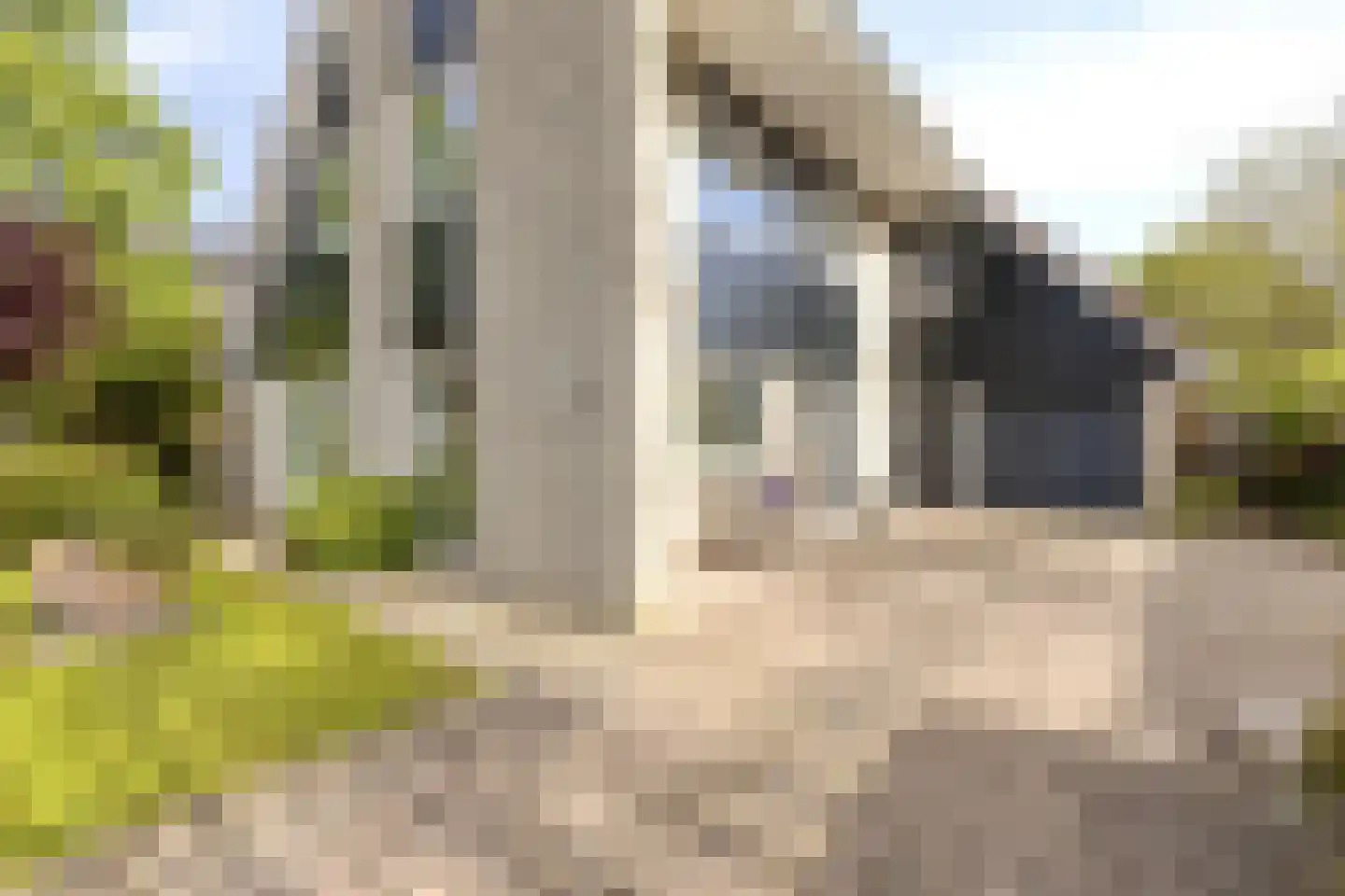 Vermeerstraat 5 Anna Paulowna thumbnail 66