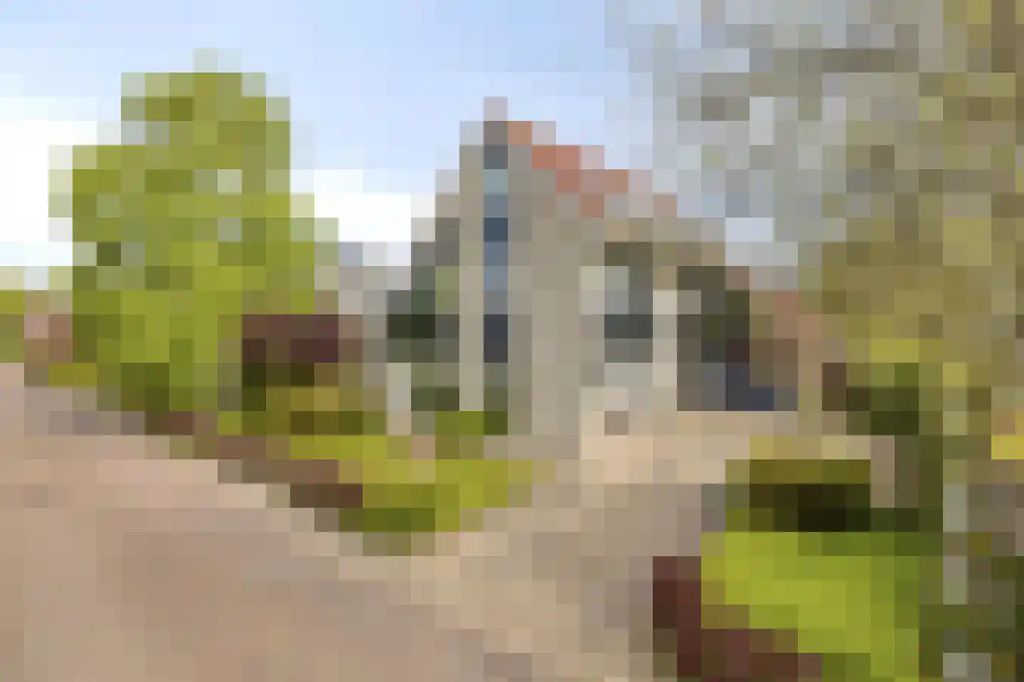 Vermeerstraat 5 Anna Paulowna thumbnail 8