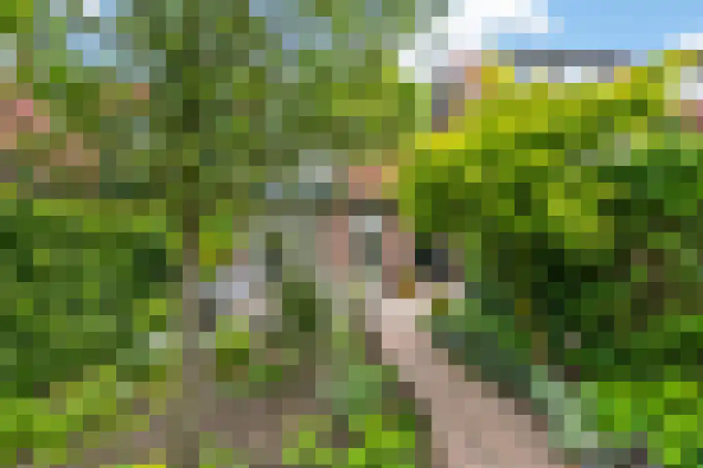 Vermeerstraat 59 Amersfoort thumbnail 31