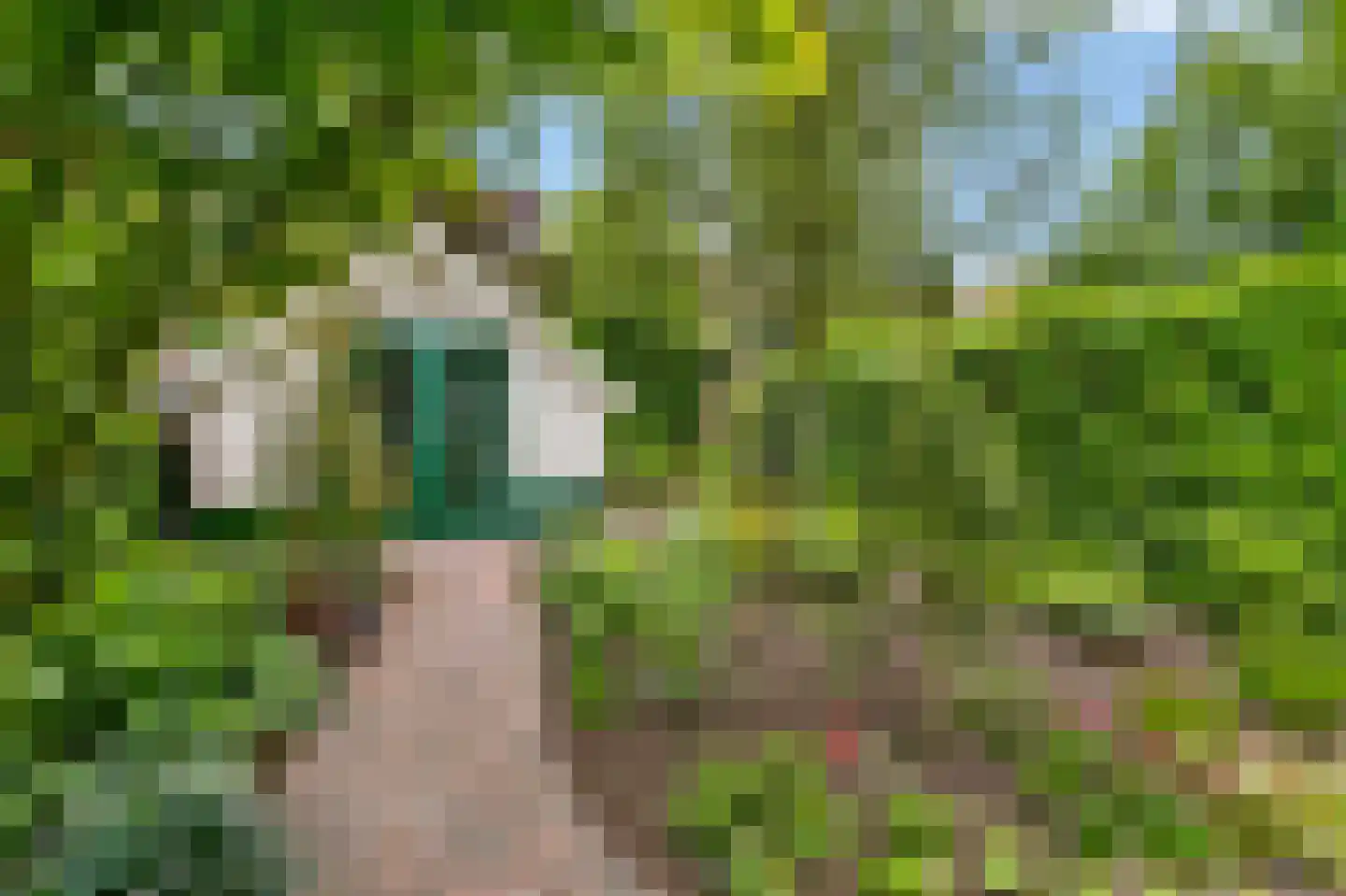 Vermeerstraat 59 Amersfoort thumbnail 32